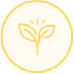 Element 2TEST1